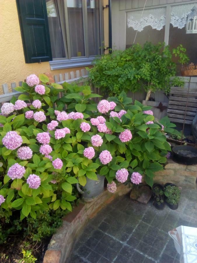 Omas Schmuckkaestle Villa Lauingen Bagian luar foto